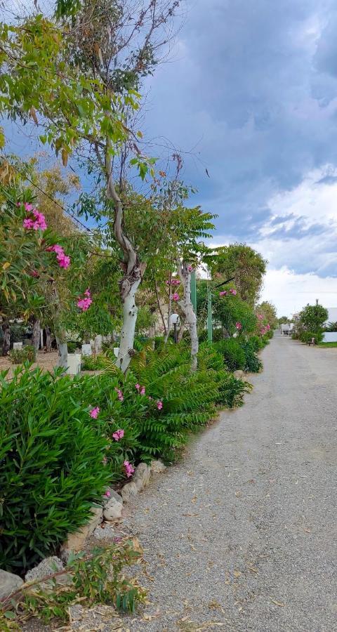 Camping Village Torrenova Cirò Marina المظهر الخارجي الصورة