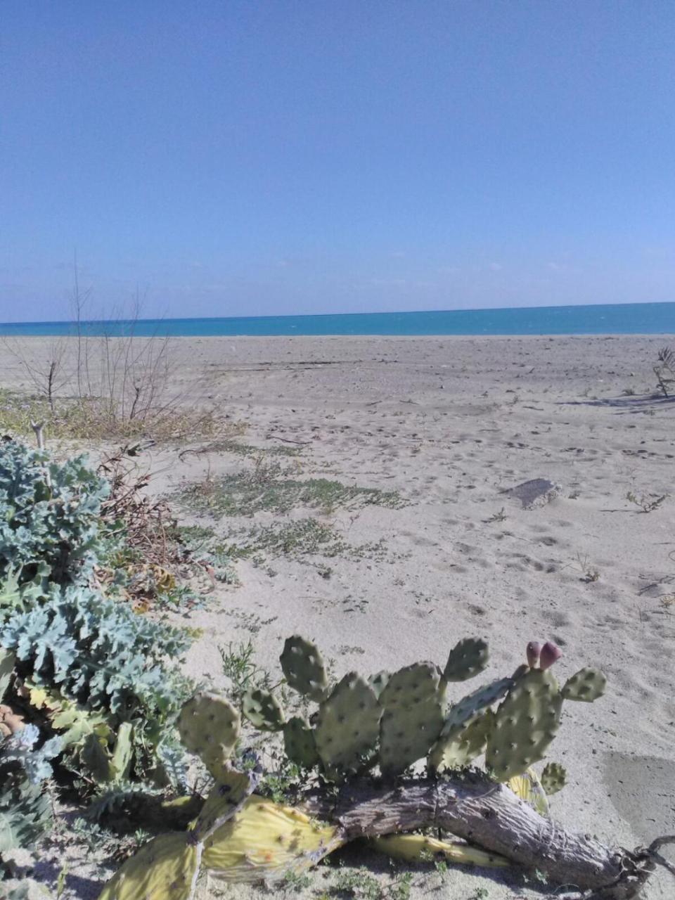 Camping Village Torrenova Cirò Marina المظهر الخارجي الصورة